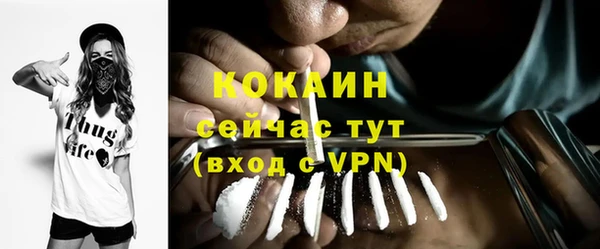 трава Новозыбков