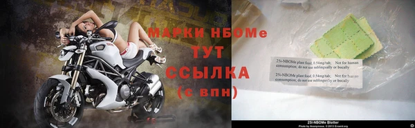 трава Новозыбков