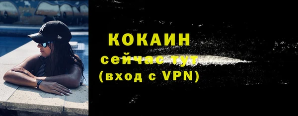 трава Новозыбков