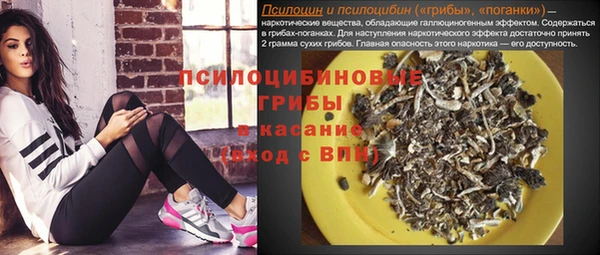 дживик Новодвинск