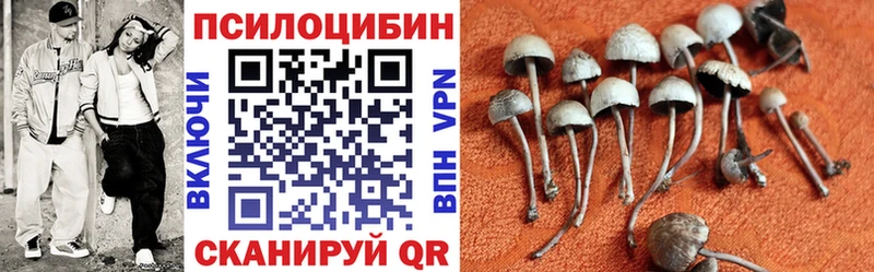 MEGA как зайти купить наркоту Карабаново Галлюциногенные грибы мицелий